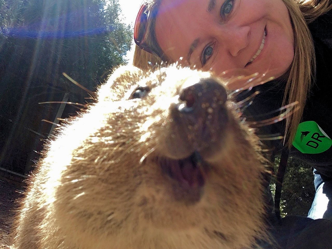 Selfie med en Quokka p Rottnest Island i Australien.