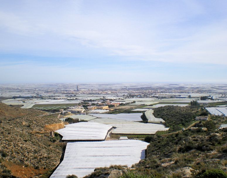 Massor av vxthus i Almera i sydstra Spanien.