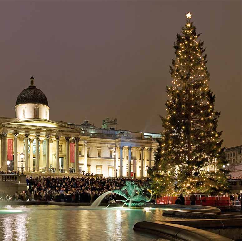 Julgranen p Trafalgar Square