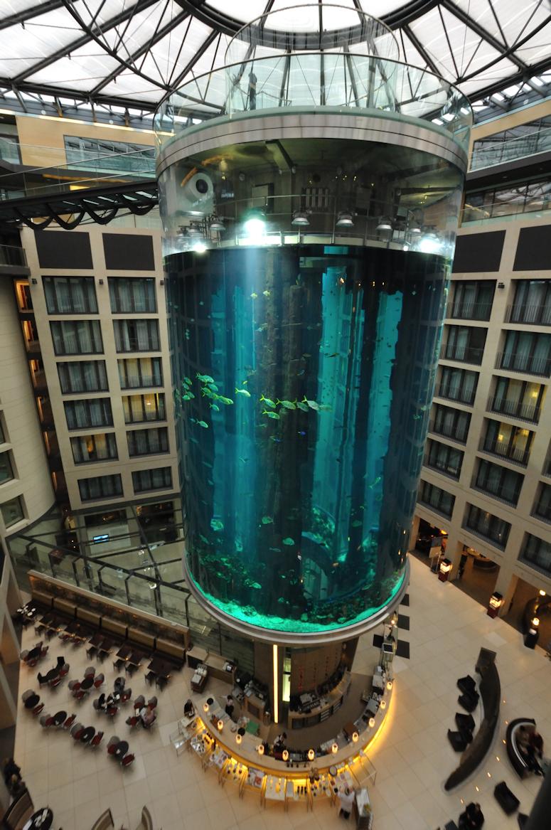 Akvariet AquaDom i SeaLife Berlin, akvariet du kan åka hiss genom.