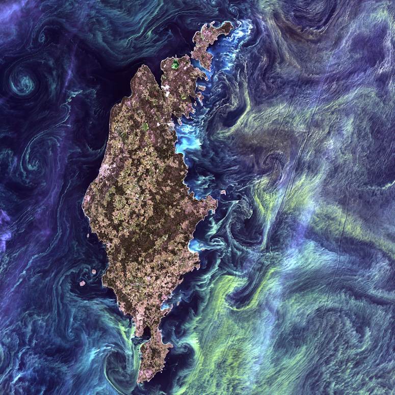 Algblomningar runt Gotland, satellitbild