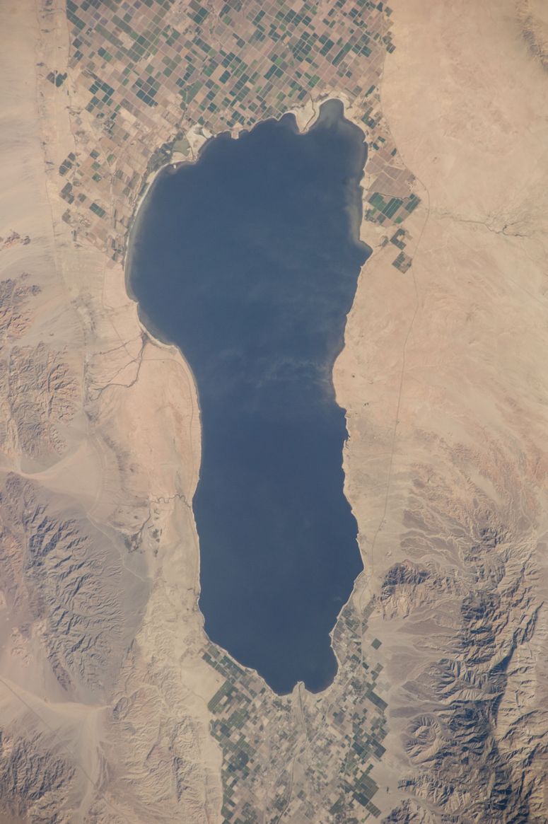 vergivna hus vid Salton Sea i Kalifornien.