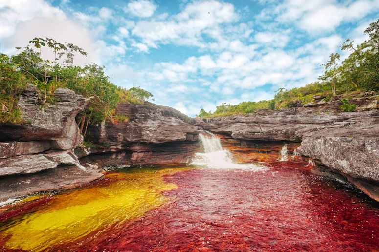 Vrldens kanske vackraste flod - den regnbgsfrgade Cao Cristales i Colombia.