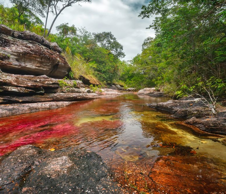 Världens kanske vackraste flod - den regnbågsfärgade Caño Cristales i Colombia.