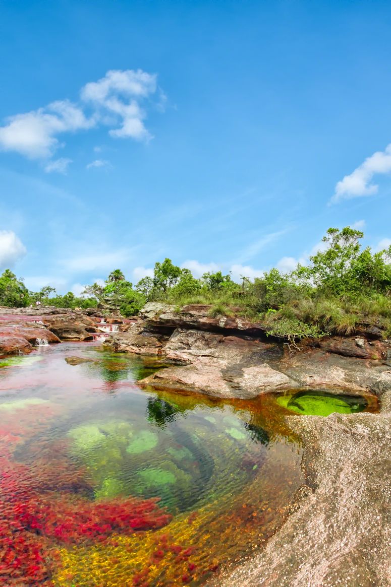 Vrldens kanske vackraste flod - den regnbgsfrgade Cao Cristales i Colombia.