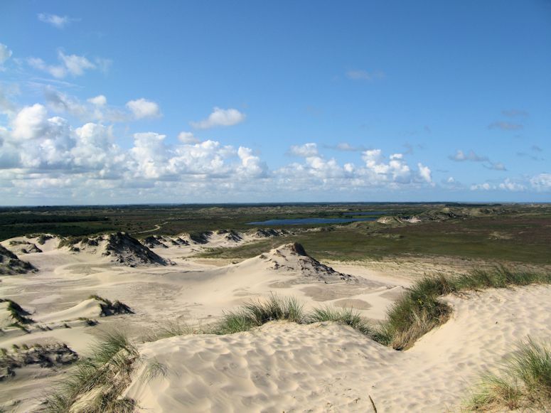 Rbjerg Mile i Danmark - sanddynen som flyttar sig.