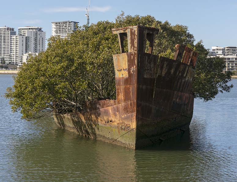 SS Ayrfield i Homebush Bay, Sydney.