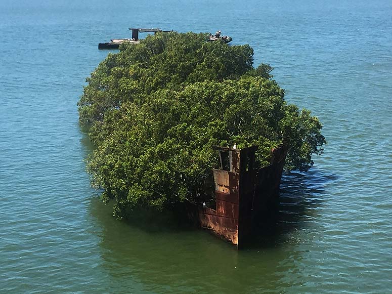 SS Ayrfield i Homebush Bay, Sydney.