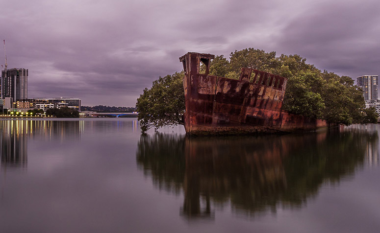 Det vervxta fartyget SS Ayrfield i Sydney, Australien. Fullt med vxter.