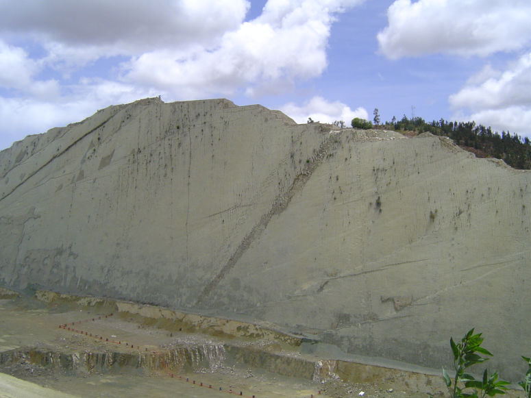 Fossila dinosauriespår på stenvägg i dagbrott i Cal Orcko i Bolivia