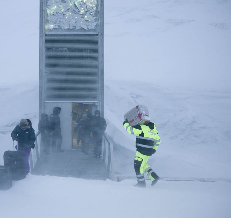 Ingngen till Svalbard Global Seed Vault