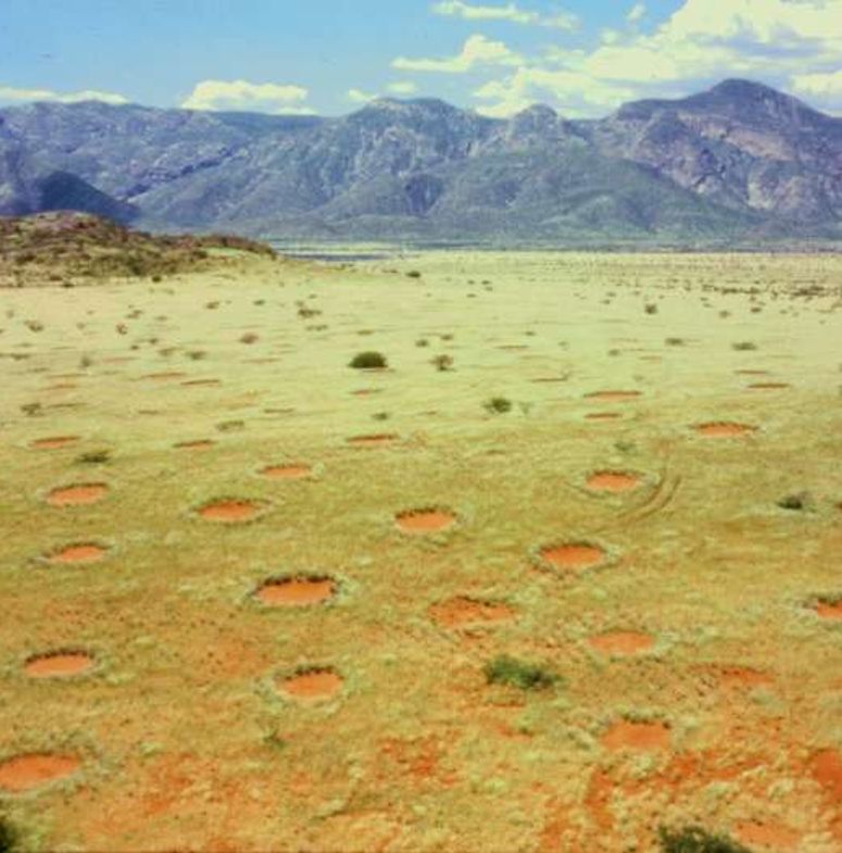 Fairy circles i Namibia, Afrika.