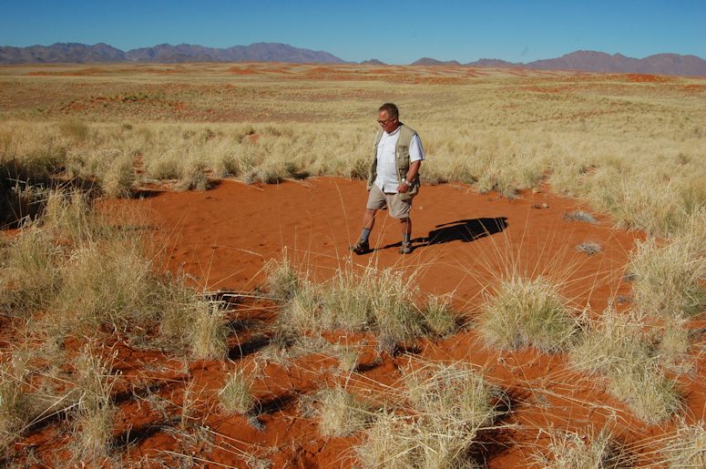 Fairy circle i Namibia, Afrika.