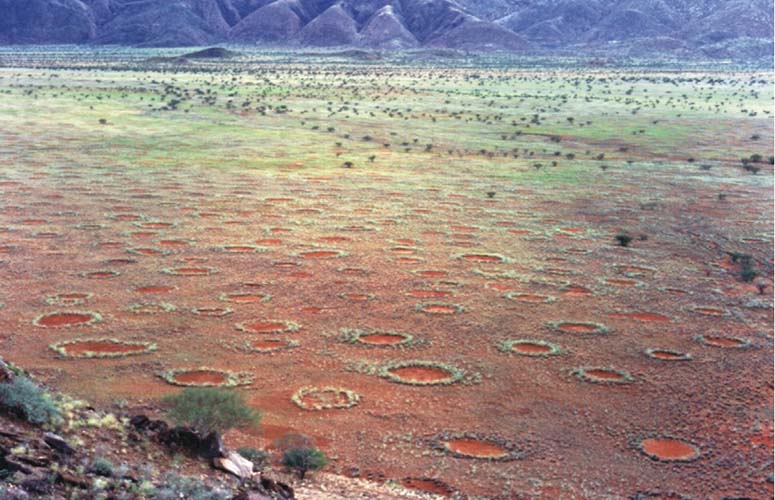 Fairy circles i Namibia, Afrika.