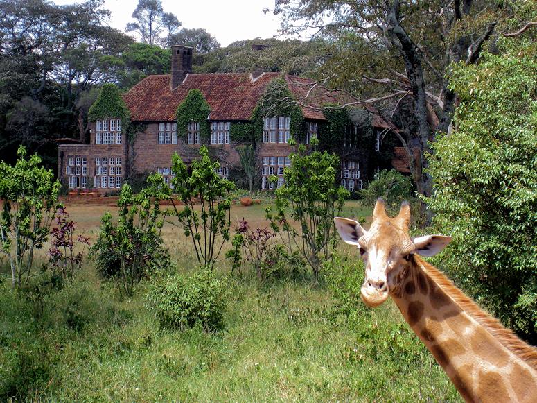 Giraffhotellet i Kenya - Giraffe Manor - med en giraff framför.