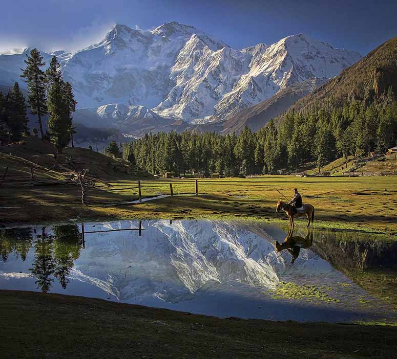 Nanga Parbat frn Fairy Meadows