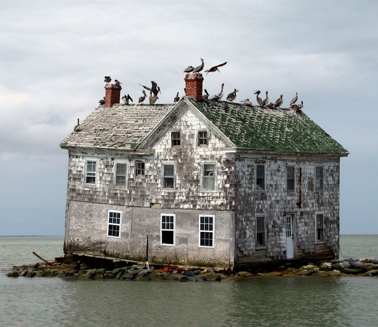 Det sista huset på Holland Island - ön i USA som försvann - i maj 2010.