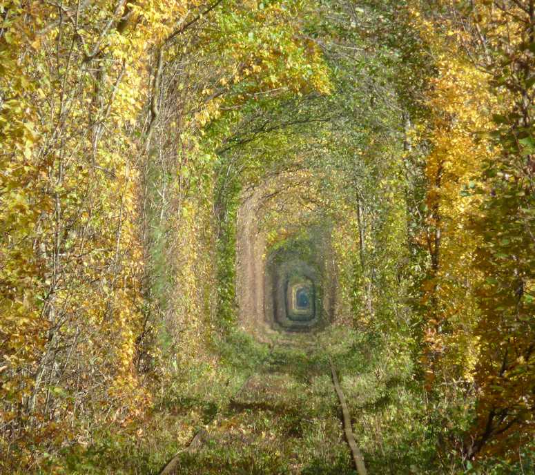 Tunnel of Love i Ukraina - en vacker tågtunnel omgiven av löv.
