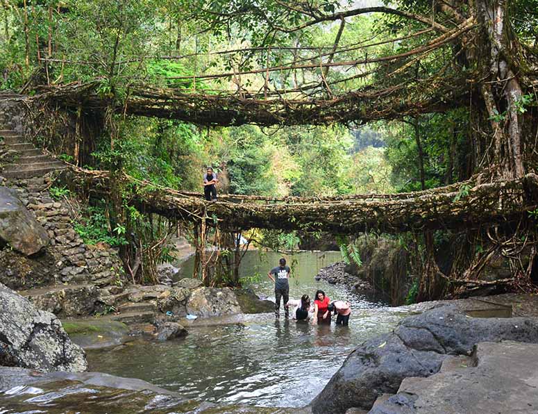 Bro av rtter i Meghalaya i Indien.