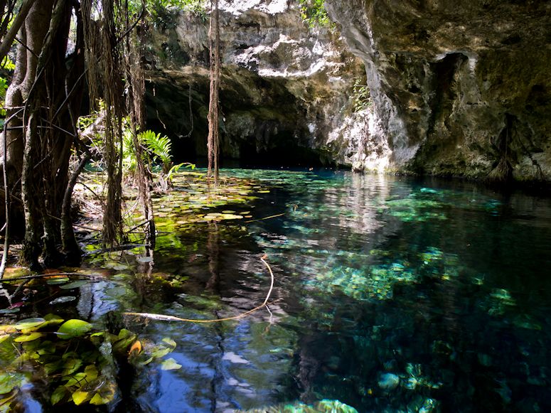 Cenote i Mexiko.