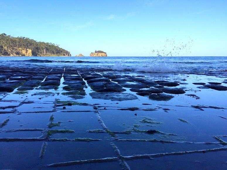 Tesselerad (rutig, mosaik) strand på Tasmanien.