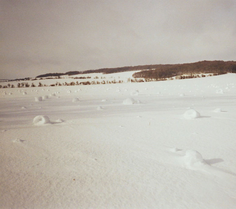 Snow rollers på ett fält i Tyskland.