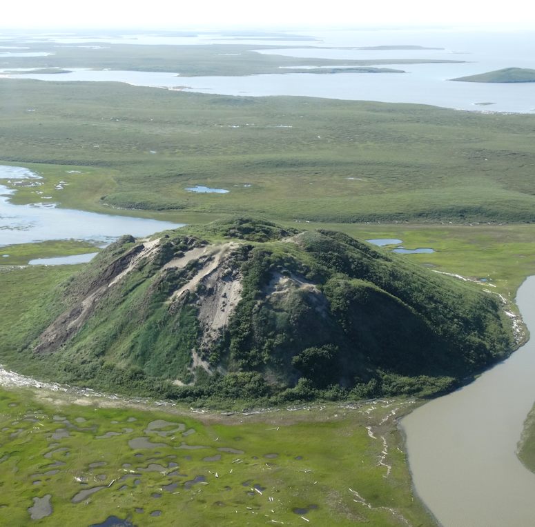 Pingo i Kanada - en kulle av is tckt av jord.