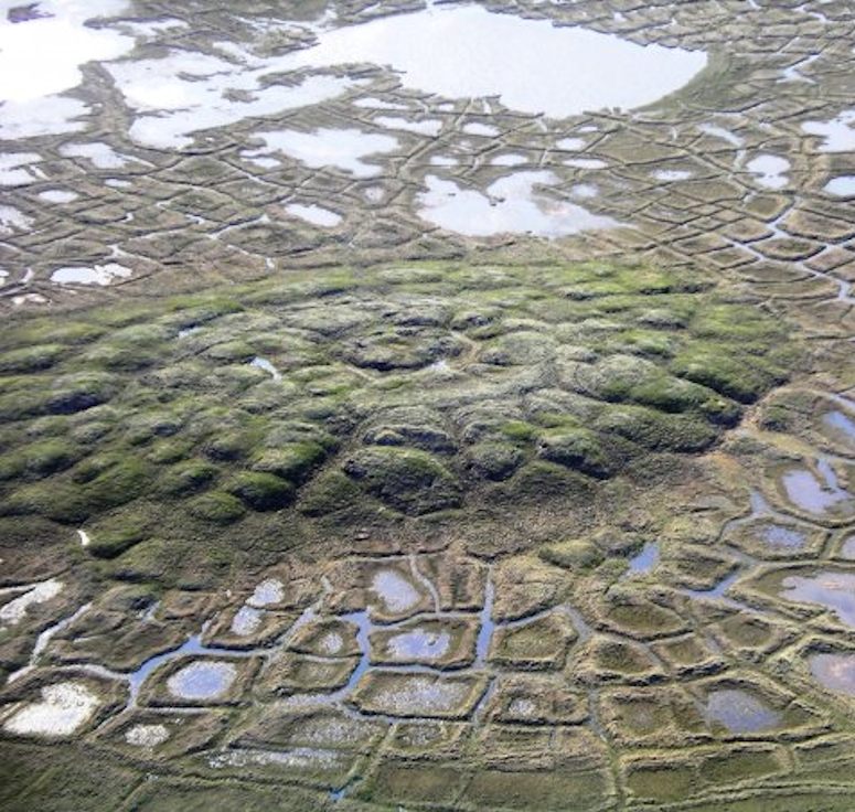 Pingo i Kanada - en kulle av is tckt av jord.