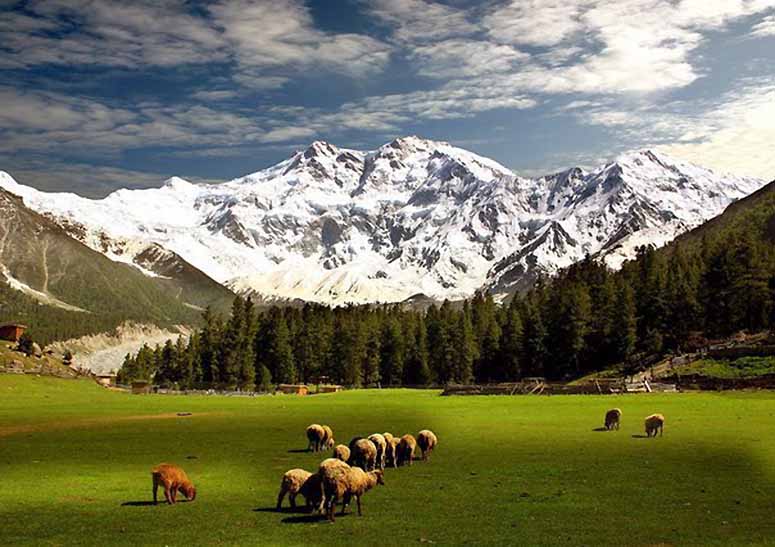 Fairy Meadows och Nanga Parbat