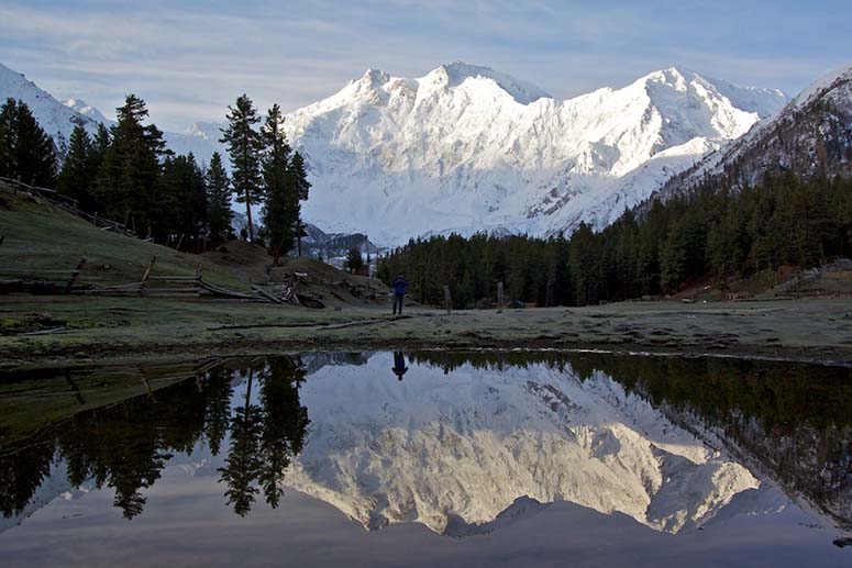 Fairy Meadows