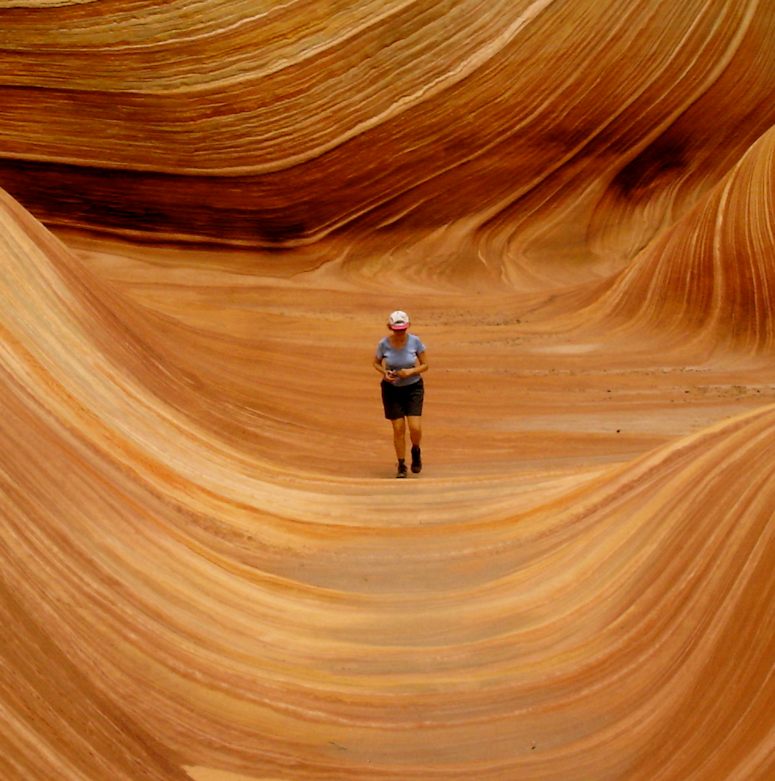 The Wave - formation av sandsten i knen i Arizona.