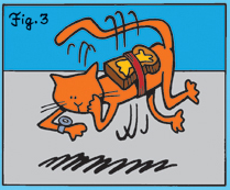 Katten roterar hängande i luften, enligt smörgåskattparadoxen