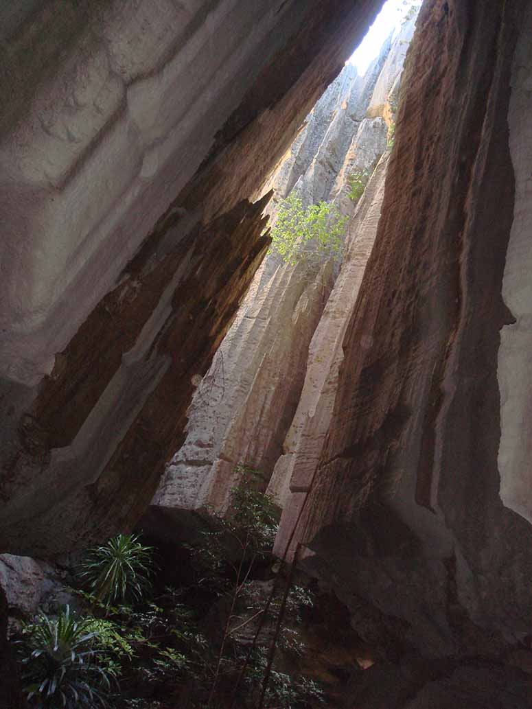 Grotta i Tsingy de Bemaraha p Madagaskar