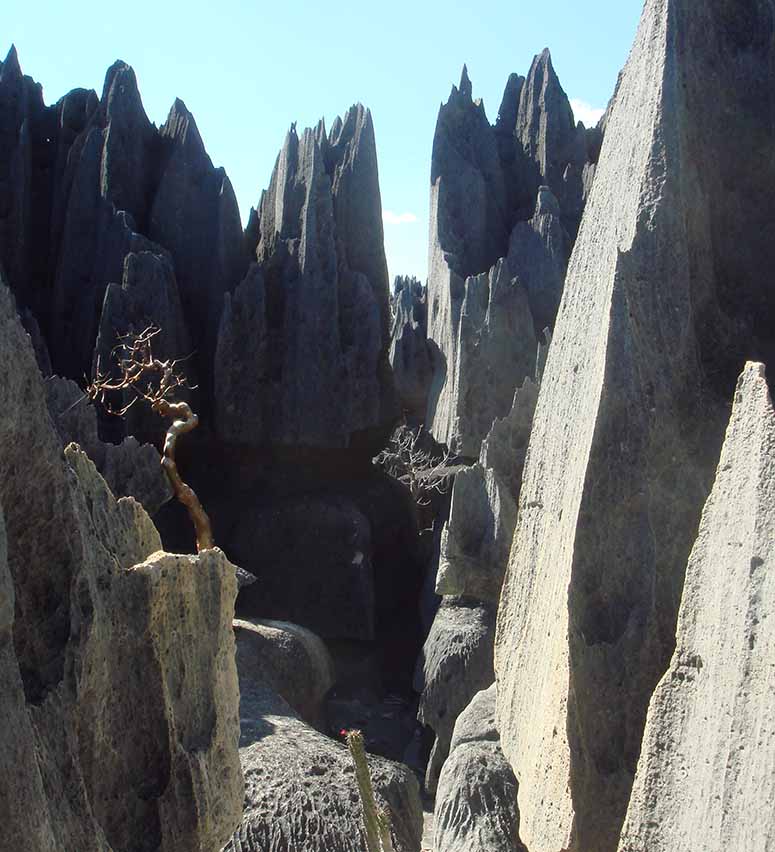 Tsingy de Bemaraha