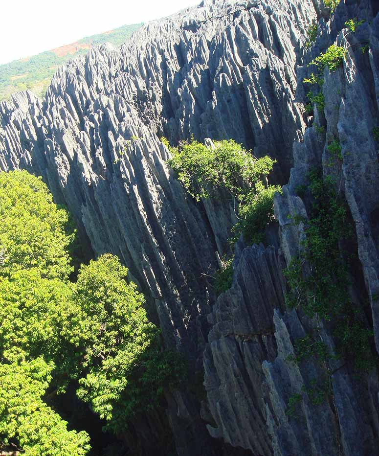 Tsingy de Bemaraha