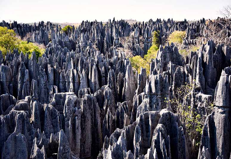 Tsingy de Bemaraha på Madagaskar