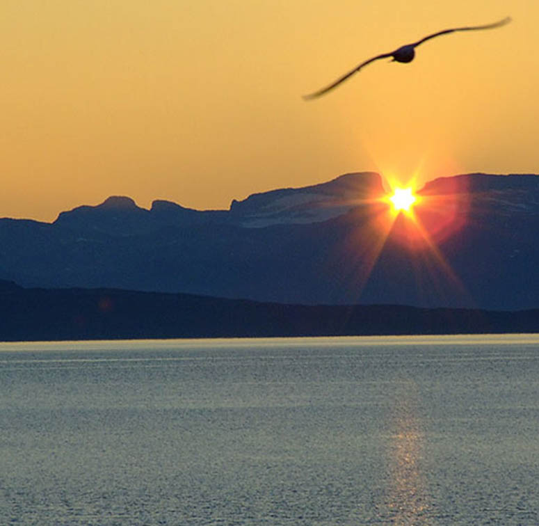 Fågel över Sveriges vackraste sjö Virihaure.