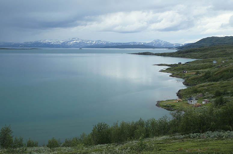 Staloluokta vid Virihaure.