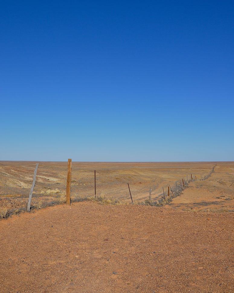 The Dingo Fence i Australien.