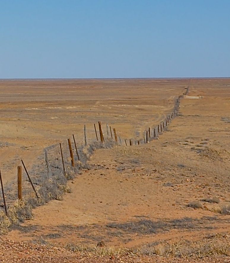 The Dingo Fence i Australien.