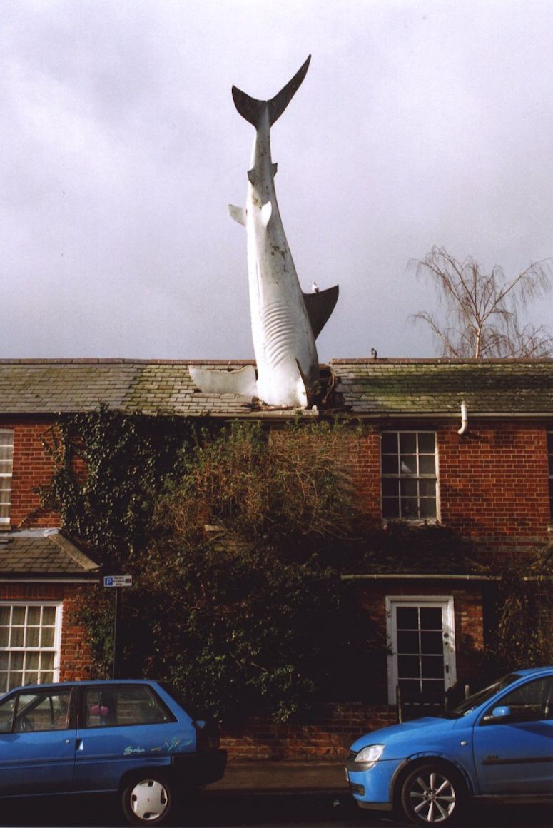 Headington Shark i Oxford - staty av en haj i tak