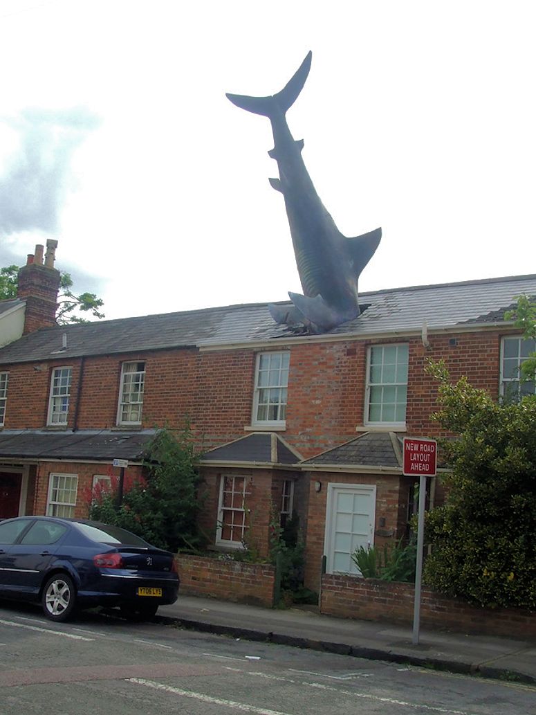 Headington Shark i Oxford - staty av en haj i tak