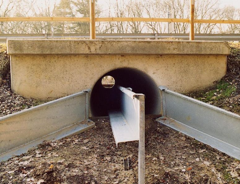 En tunnel under väg för paddor och andra djur i Tyskland.
