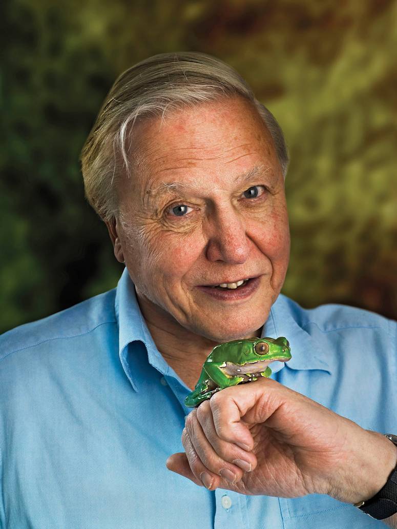 David Attenborough, den som pratar till filmen om evolution.