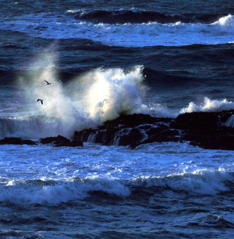 Bild på vågor