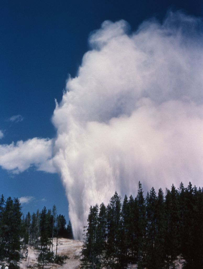 Världens högsta gejser idag - Steamboat geyser i Yellowstone, USA.