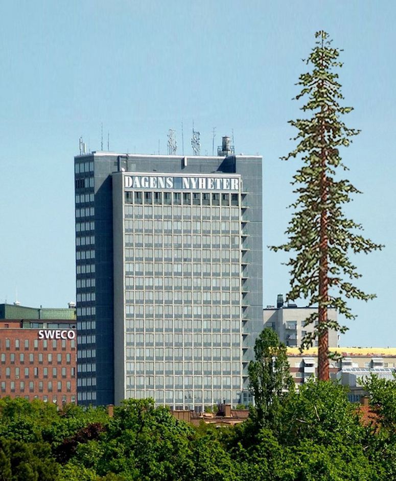 Världens högsta träd Hyperion, bredvid DN-huset