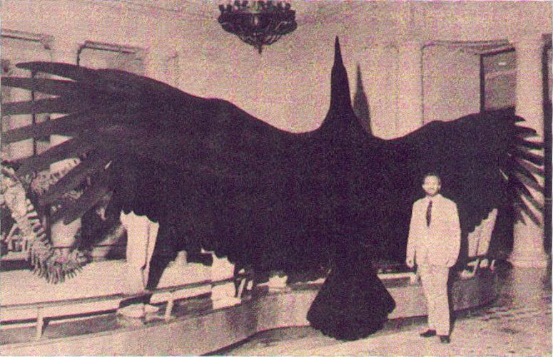 Modell av Argentavis magnificens, som tros vara den tyngsta fågeln någonsin som kunde flyga.