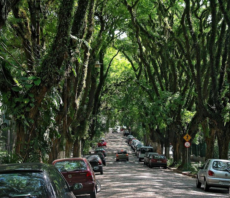 Rua Gonçalo de Carvalho i den brasilianska staden Porto Alegre kallas ibland världens vackraste gata.