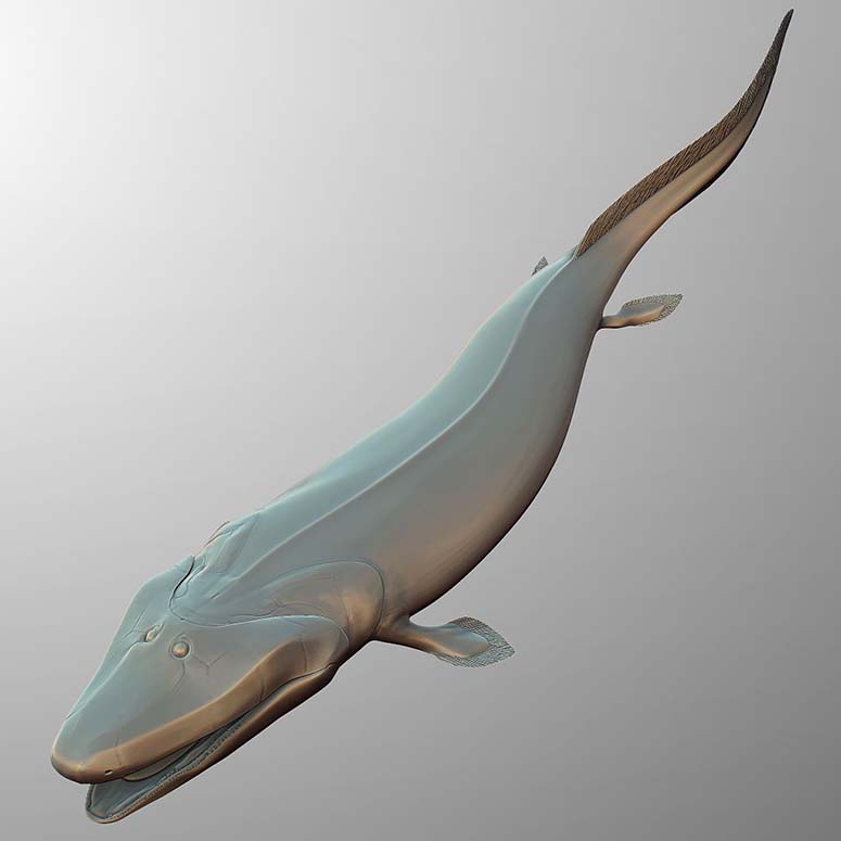 Tiktaalik roseae